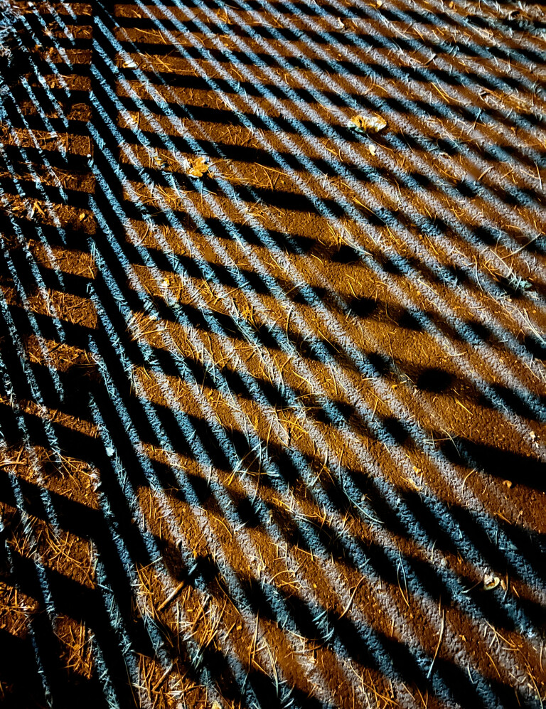 Fence Shadows, The Cinder Track, Whitby